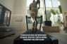 thumbnail image of product video for the Commercial 1250
